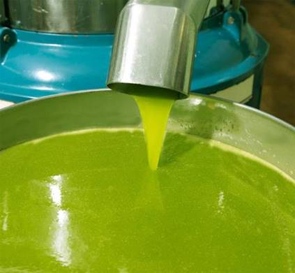 Olio extravergine